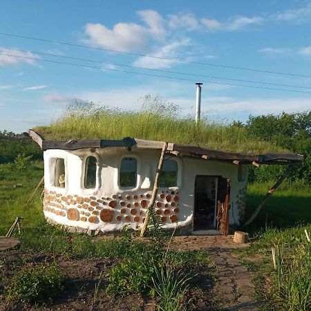 Сказочный Дом Villa Buki  Luaran gambar